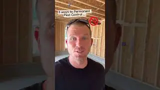 3 ways to Permanent Pest Control…🪳