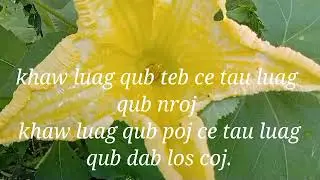 dab neeg khaw luag qub teb ce tau luag qub nroj.