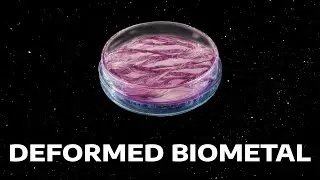 THE FIRST DESCENDANT - DEFORMED BIOMETAL