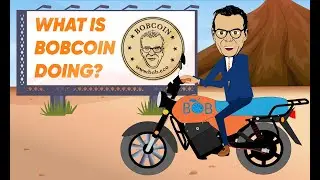 Bob Eco - концепция компании. Токены Bobcoin / BOBC
