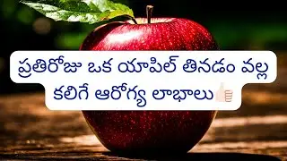 ప్రతిరోజు ఒక యాపిల్‌ తినడం వల్ల కలిగే ఆరోగ్య లాభాలు👍🏻| Apple Benefits In Telugu |