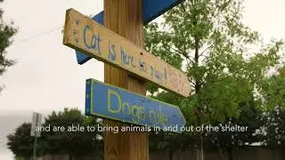 Animal Shelter Bond Election