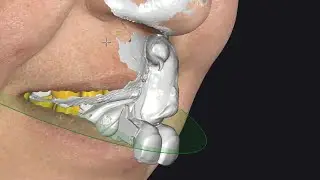 the Face Scan Mate device
