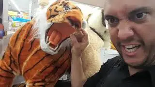 NE GLEDI OVI GLOPACHA