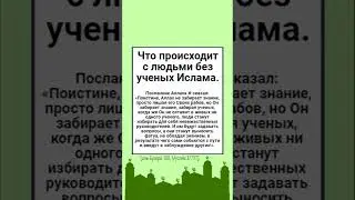 Что происходит с людьми без ученых Ислама.