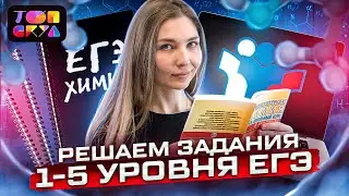 Решение 1-5 заданий уровня ЕГЭ | Химия ЕГЭ | Топскул