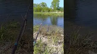 Так себе рыбалка сегодня