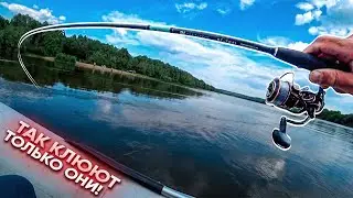 На этом ПЕРЕКАТЕ ЛЮТУЮТ они / Голавль и жерех летом ГДЕ, КАК, на ЧТО?!