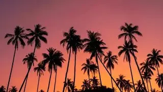 Summer Martin & MAGÜ - You [Lyric Video] [Casual Jam Release]