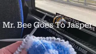 Wool Wine And Wheels April 12-17 2024 (aka Mr. Bee Goes To Jasper)