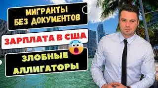 Аллигаторы атаковали туристов | Мигранты без документов | Зарплата в Америке |  Холод сковал США