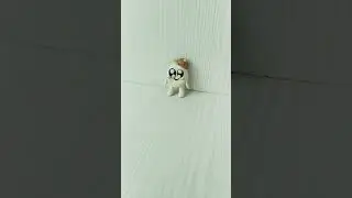 @GH.S из пластилина