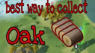 best way to collect oak