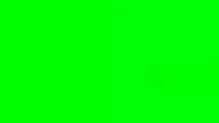 green screen  petals float effect