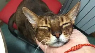 Скучали по Моте? ❤️
