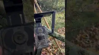 CAMPARK TC25 : camera chasse 4G avec panneau solaire