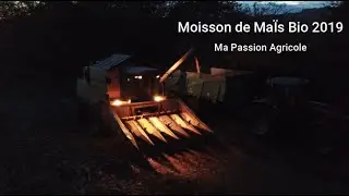Je vous emmène moissonner le Maïs Bio 2019 avec moi