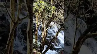 Elephant Falls Shillong Meghalaya India #travel #workandtravel #worklife #worklifebalance #shorts
