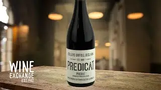 Priorat Wine at THIS level is never THIS price!