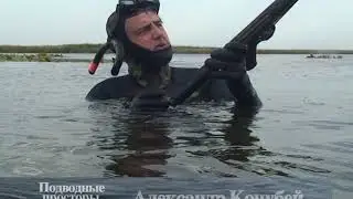 Подводная охота в Астрахани: Охота на карася