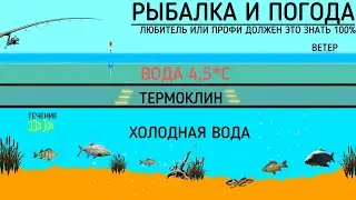DON'T GO FISHING IF YOU DON'T KNOW THIS! Weather and fishing, wind, pressure, temperature! Fishin...