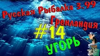Русская рыбалка 3.99 |#14| Ловим угря.