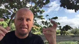 Lean Business Agility E001: Was ist das für eine Video-Reihe?