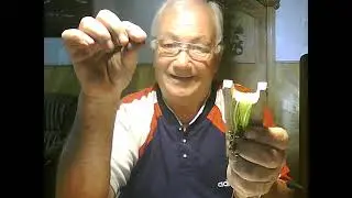 Features of using rubber bands for silver carp with a large reel.