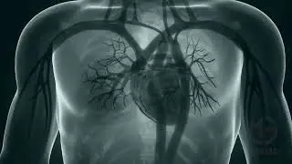 How Long Can You Listen To This Sound? • (Warning!) • Heart Beating animation • Be Careful Please!