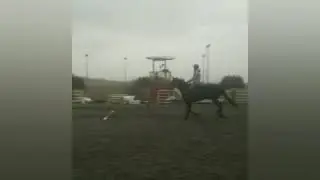 Бося)