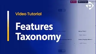 Features Taxonomy