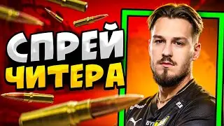 КОГДА ПРО ИГРОКИ СПРЕЯТ КАК ЧИТЕРЫ