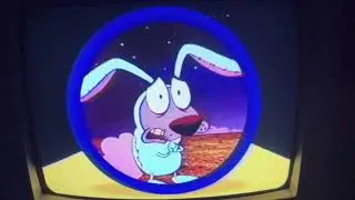 Right After the Powerpuff Girls For A Bonus Toon
