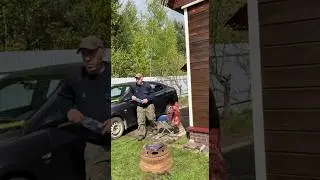 Всё дело в шляпе #юмор