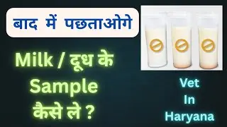 How To Take Milk Samples | Identification Of Thanela Disease | Never Make This Mistake Otherwise |