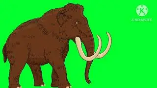 Woolly Mammoth walking green screen
