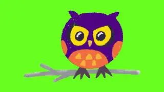 Green screen Owl Cartoon - Green screen birds 