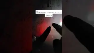 31 июля 2024 г.