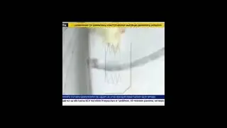 “Возвращаемся к обстрелам Белграда”, — ведущая тв Россия24 перепутала Белгород с сербской столицей