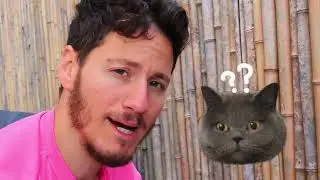 ֿ| הדברת מזיקים | הדברת חלזונות ושבלולים האם זה אפשרי?! מתזוןגן כבר בחנות האונליין של מזיקיס.