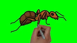 HOW TO DRAW A 🐜  ANT 🐜 MOTION BORDER💯| #greenscreen effects - chroma key animations VIDEO HD *1080*