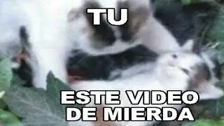 yo que se