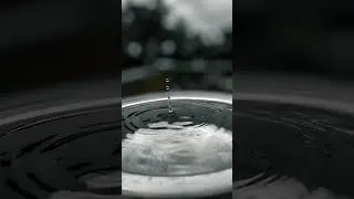 Water Drop Photography Ideas At Home. 