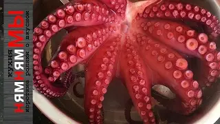 Как сварить осьминога?