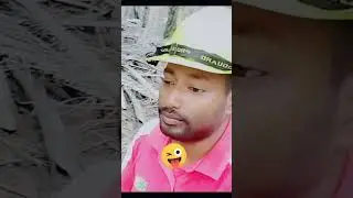 জীবনটা বাঁশি পাতার মত হয়ে গেছে #foryourpage #tiktok #malaysia #viral #love #funny #reels