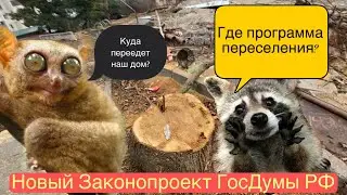 Госдума РФ обяжет города делать компенсационные высадки! Новый законопроект РФ на согласовании