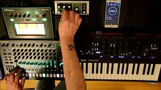 Clouds "Patches ready, sequences empty" Dub Techno sequenced live (TR8S / Minilogue XD / TB3 / RE20)