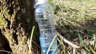 20230408 105238