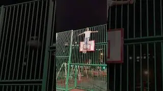 Дениса отвергает Бог баскетбола