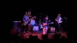 Peter Holsapple & The Untamed Youth - 2 songs